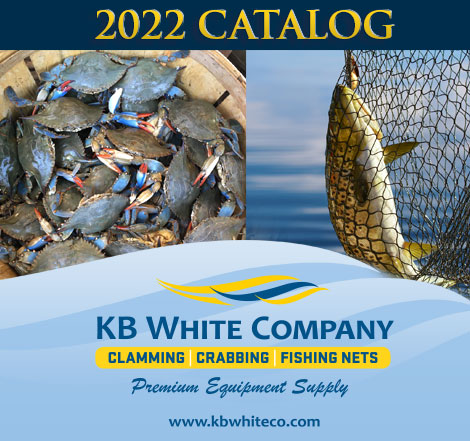 KB White Co Wholesale Shellfishing Equipment Catalog